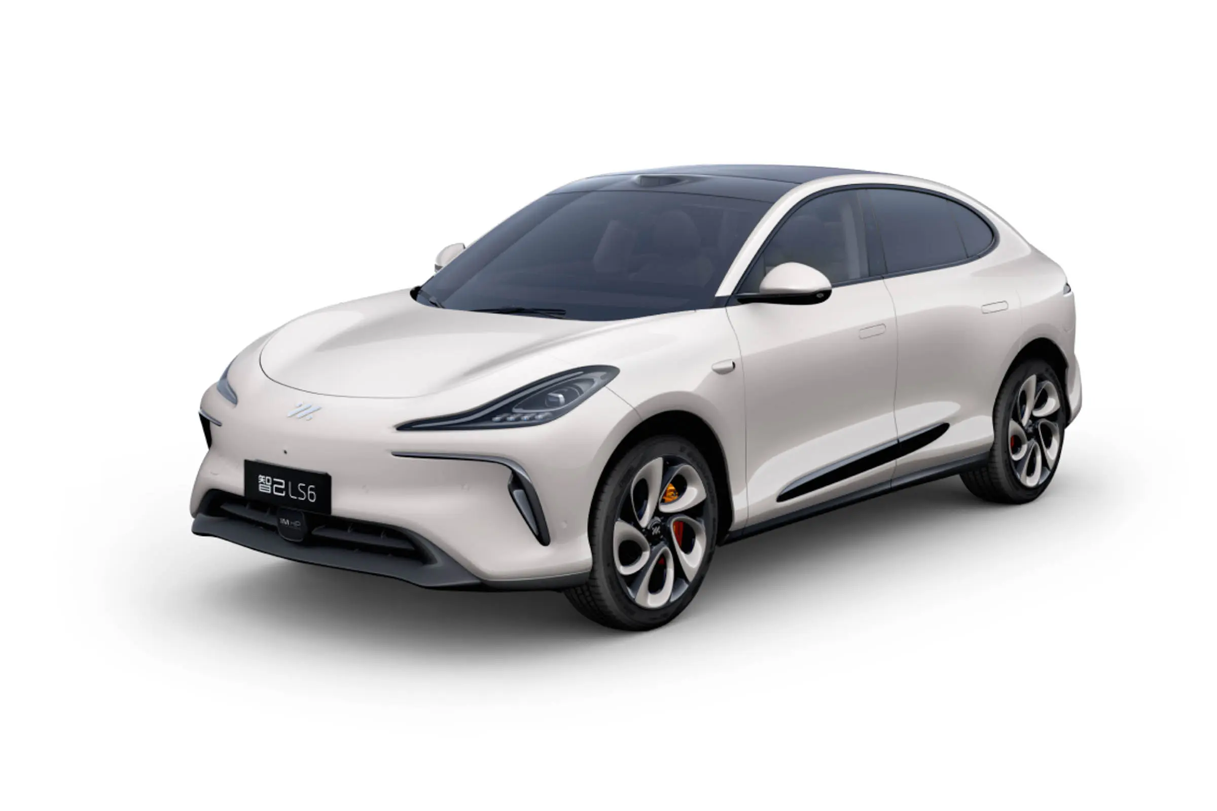 IM MOTOR LS6
